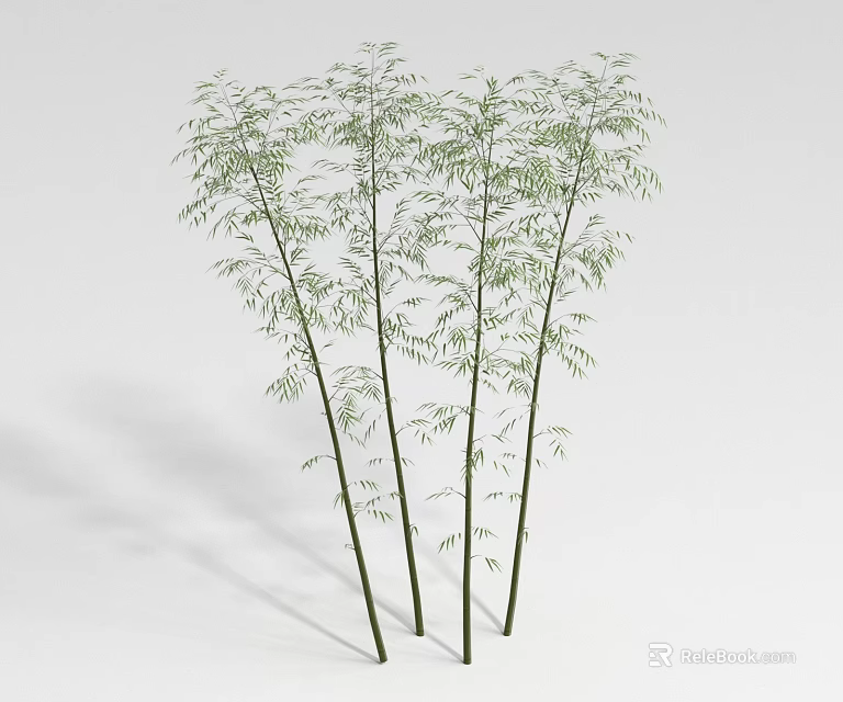 Bamboo Plants With Green Leaves And Slender Stalks On White Background 3d model 