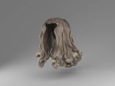Light Brown Curly Hair Wig Back View Showing Internal Structure Details 3d model