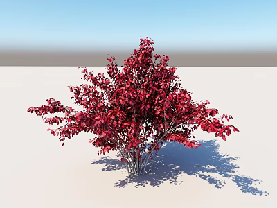 Vibrant Red Leaf Arbor Standing Against Blue Sky With Gray Ground And Shadow 3d model