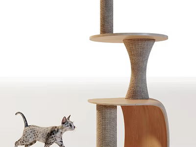Multi Level Cat Tree With Rope Wrapped Posts And Wooden Platforms For Kitten Play 3d model