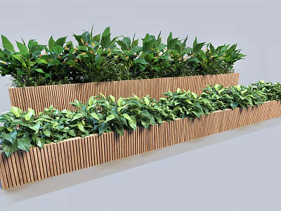 Bonsai Potted Plants Arranged in Wooden Striped Planters with Lush Green Foliage 3d model