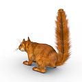 Reddish Brown Squirrel With Fluffy Long Tail On White Isolated Background 3d model
