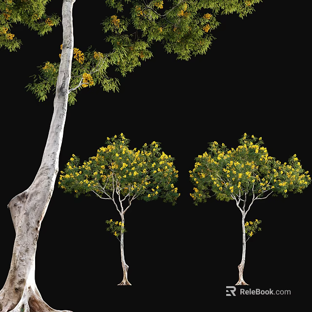 Lush Arbor Trees With Yellow Flowers Green Leaves And White Trunks 3d model 