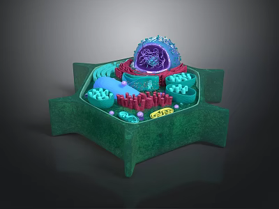 Advanced Medical Device 3D Cellular Structure Model with Green Base and Organelles 3d model