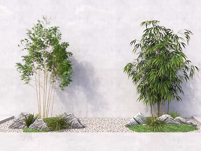 Green Bamboo Plants Growing Against White Wall With Rocks Pebbles And Grass 3d model