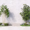 Green Bamboo Plants Growing Against White Wall With Rocks Pebbles And Grass