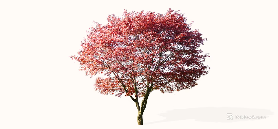 Tall Red Leaf Arbor With Dense Autumn Foliage And Brown Trunk 3d model 
