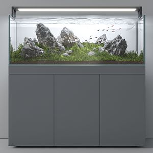 Modern fish tank 3d model