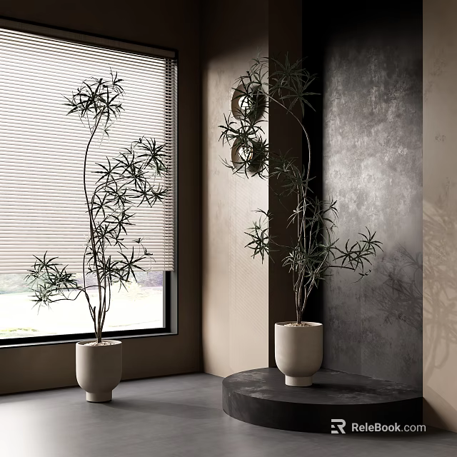 Potted Bonsai Trees In Light Pots With Green Leaves Near Window Blinds And Gray Wall 3d model 