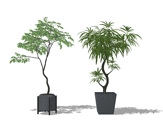 Modern potted combination 3d model