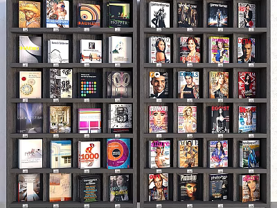 Colorful Books and Magazines with Various Covers Neatly Arranged on Shelves 3d model