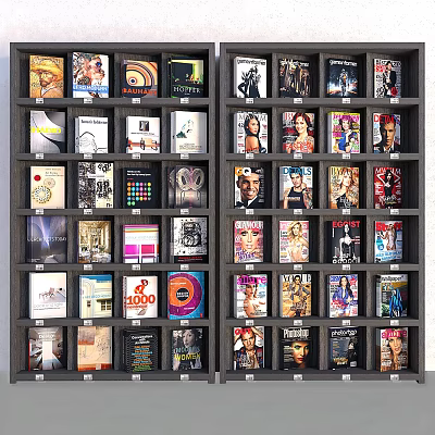 Colorful Books and Magazines with Various Covers Neatly Arranged on Shelves 3d model Colorful Books and Magazines with Various Covers Neatly Arranged on Shelves 3d model