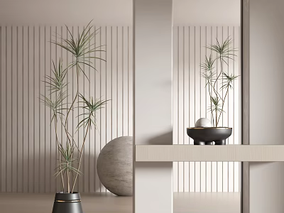 Modern potted plants 3d model