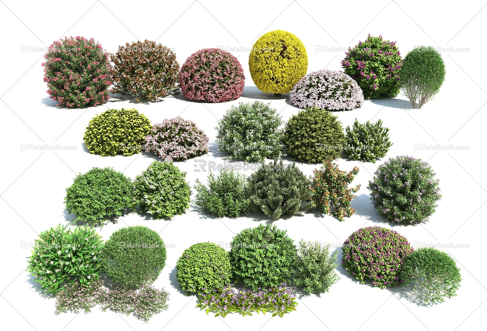 Modern Shrub Flower Shrub Combination 3d model