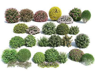 Various Types of Garden Shrubs with Rounded Shapes and Colorful Foliage 3d model