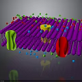 Organ And Hair Follicle Structure With Colorful Cellular Components And Biological Molecules