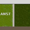 Indoor Decorative Green Plant Wall with Two Panels and ANST Lettering