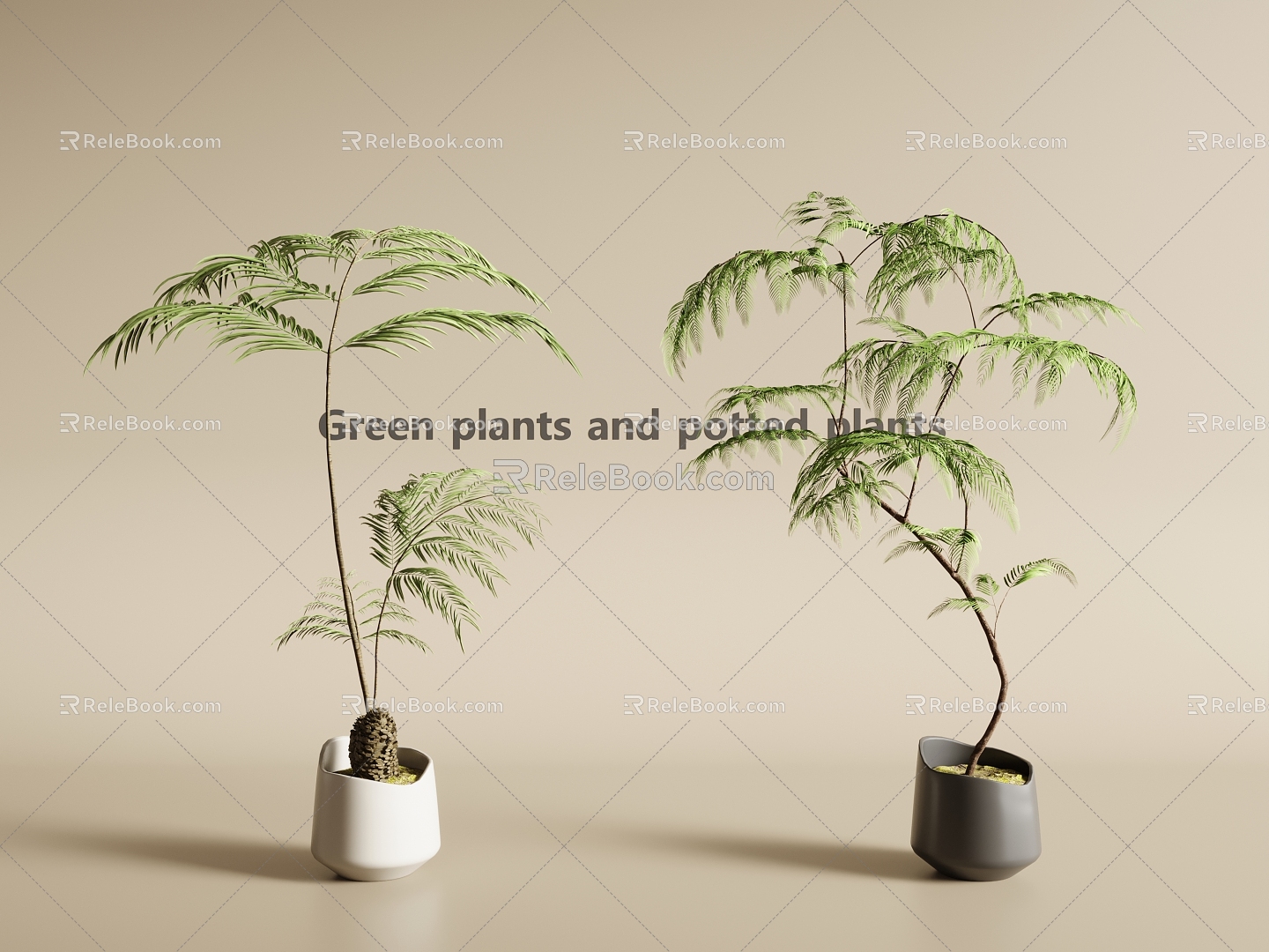 potted plant green plant potted plant green plant model