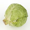 Fresh Green Cabbage with Crisp Leaves and Natural Healthy Texture