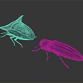 Two Black Beetles With Unique Design And Smooth Glossy Surface On Gray Background 3d model