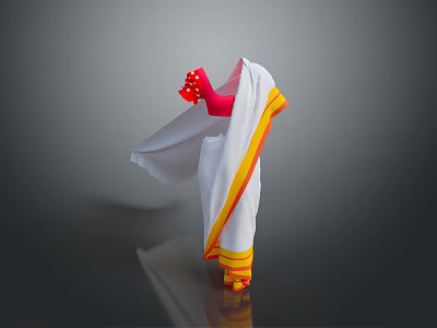 Traditional Indian Sari With White Base Yellow Border And Red Blouse Design 3d model