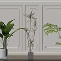 Potted Indoor Plants With Different Leaf Shapes In Modern Wall Moldings And Wooden Floor Interior