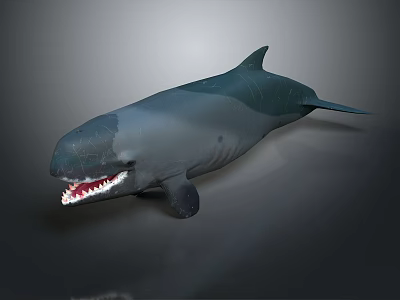 Detailed Sperm Whale 3D Model With Open Mouth And Exposed Teeth 3d model