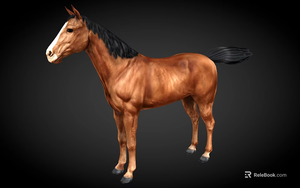Detailed Realistic Brown Horse With Black Mane Tail And Standing Pose 3d model 