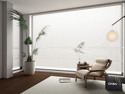 Modern venetian blinds model