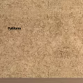 Poliform Interior Wall Design With Textured Surface And Intricate Pattern Details