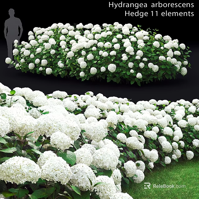Ornamental Decor Set with White Hydrangea Blooms and Lush Green Leaves 3d model 