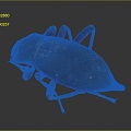 Modern Beetle Beetle Insect Animal Items 3d model