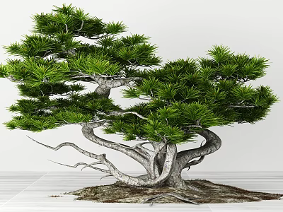 Lush Green Arbor With Twisted Trunk Exposed Roots And Bonsai Style On White Background 3d model