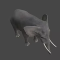 Gray Elephant Model With White Ivory Tusks Standing On Black Background