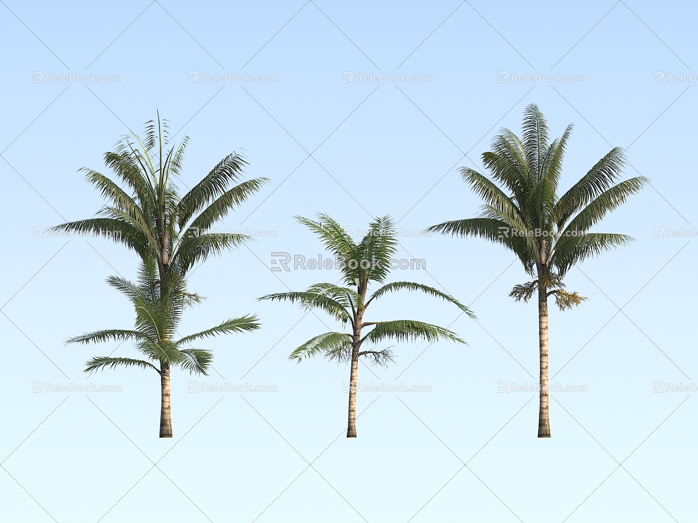 Modern Tree Big Spiny Coconut 3d model