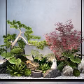 Tranquil Garden Scene With Pine Red Maple Green Plants Stones And Water Elements