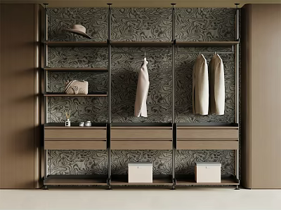 Modern Elegant Wardrobe With Shelves Hanging Clothes Drawers And Patterned Wall 3d model