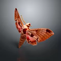 Detailed Brown And Red Moth With Spread Wings On Dark Background 3d model