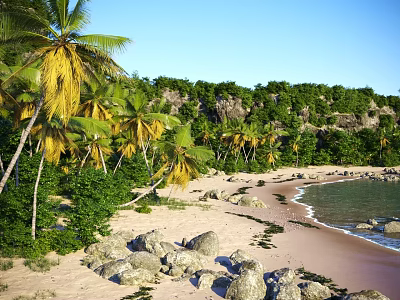 Scenic Tropical Beach View With Tall Palm Trees Smooth Sand Rocks And Clear Blue Water 3d model