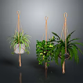 Hanging Basket Plants With Various Green Foliage And Decorative Planters For Home Interior