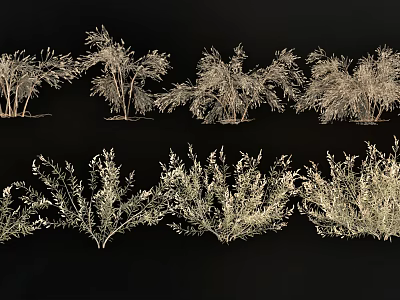 Various Types Of Flowers And Plants With Different Shapes Natural Foliage And Greenery 3d model