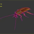 Detailed View Of Realistic Brown Cockroach With Long Antennae On Dark Background