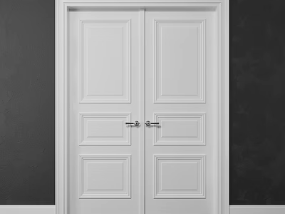 White Double Hinged Doors With Panel Design And Metal Handles On Dark Wall 3d model