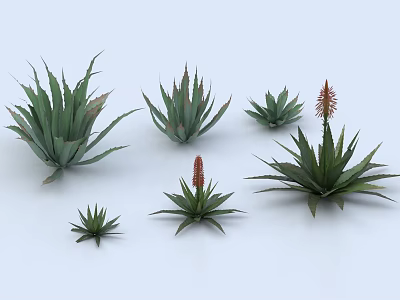 Different Sizes of Aloe Vera Plants with Green Leaves and Red Flowers 3d model