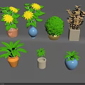 Various Decorative Potted Plants With Yellow Flowers Green Spherical And Brown Leaf In Colorful Pots