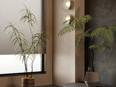 Modern Interior Corner With Window Blinds Green Plants And Wall Lamps 3d model