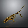 Detailed 3D Yellow Aquatic Dinosaur Skeleton Model With Long Tail And Fins