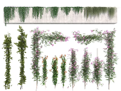 Various Decorative Vines For Wall And Hanging 3d model