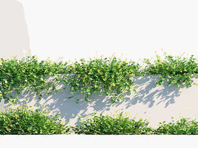 Green Climbing Vines With Yellow Small Flowers On White Wall And Low Green Plants 3d model