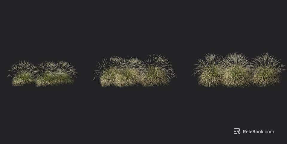 Display of Different Shaped Light Green and White Grass Against Black Background 3d model 
